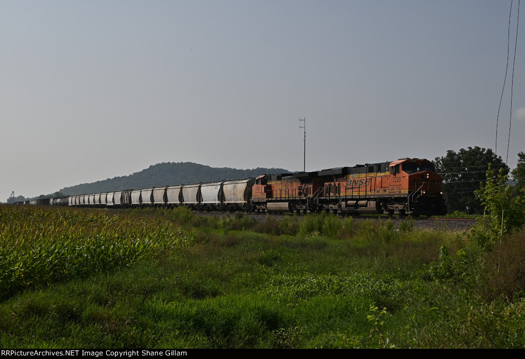 BNSF 7293